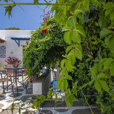 Irini In Tinos Appartement