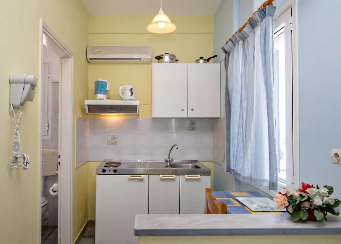 Irini In Tinos アパート *