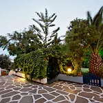 Daire Irini In Tinos *