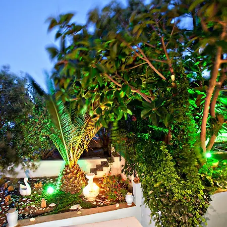 Irini In Tinos 아기오스 이오니스